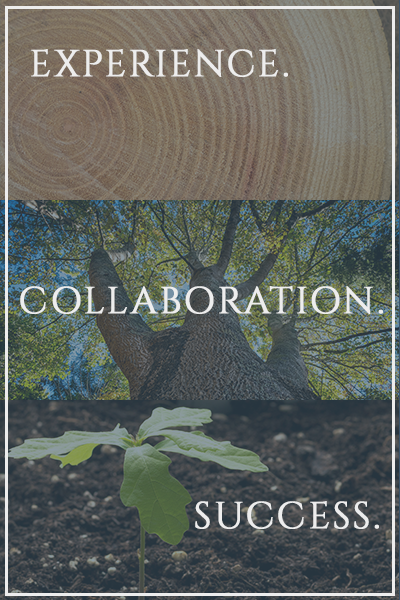 PDMP-Experience-collaboration-success-mobile